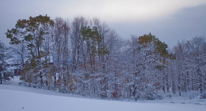В Чернигове в декабре во время снегопада гремела гроза (ВИДЕО)