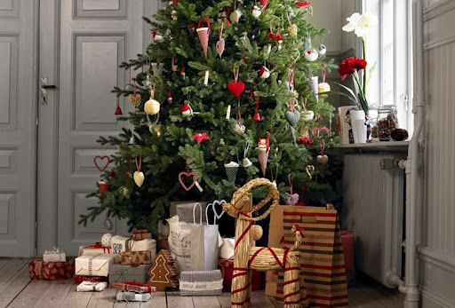 Украинцам рассказали, как правильно купить новогоднюю елку