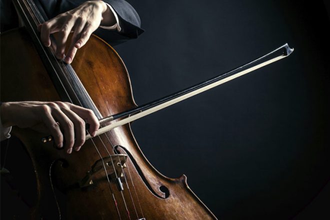 29 декабря отмечается Международный день виолончели