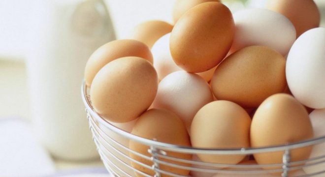 В Украине сократилось производство яиц: предприятиям и фермерам невыгодно
