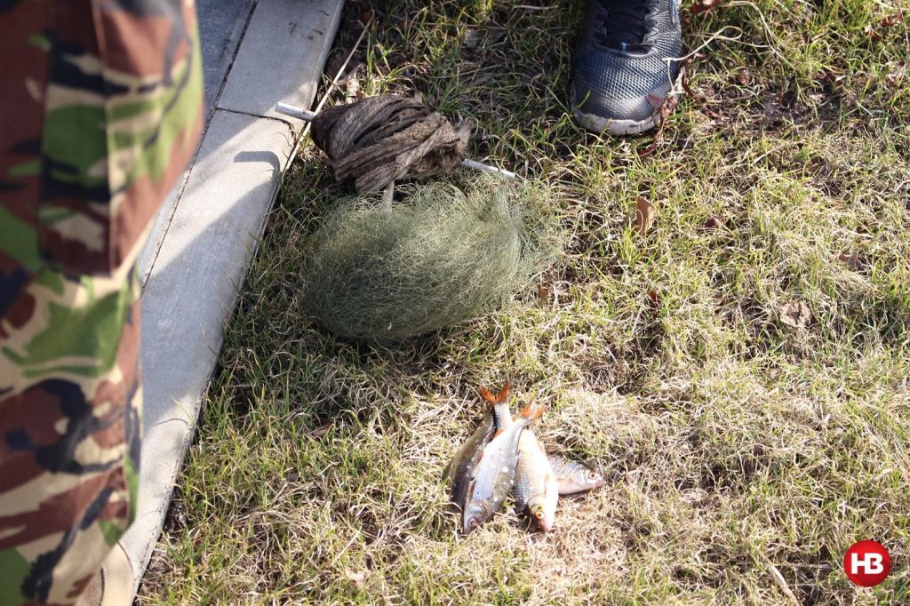 На Херсонщине браконьеры выловили сотни кило рыбы из Красной книги (ВИДЕО)