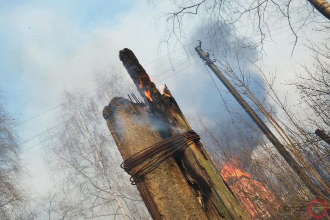 В Киеве на Гидропарке заметили пожар: что известно (ФОТО, ВИДЕО)