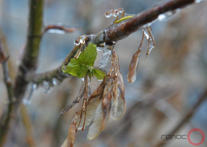 В Украине 27 января ожидается потепление &#8211; синоптик