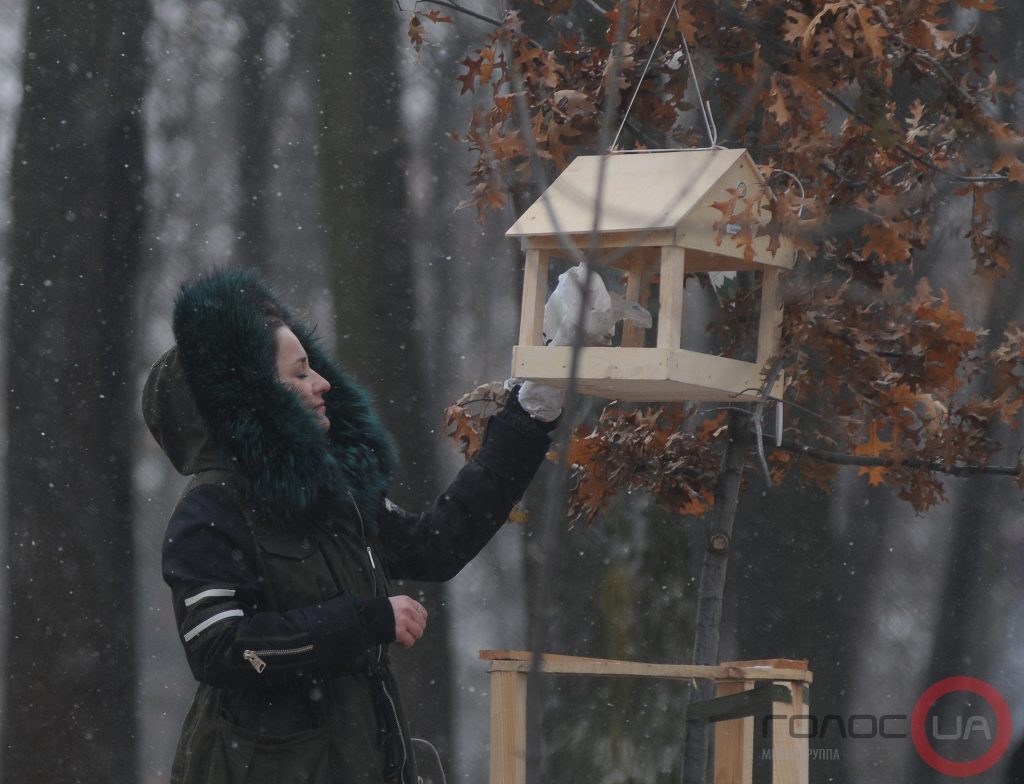 Погода 23 января: в нескольких областях Украины – снег и мороз до -10 градусов