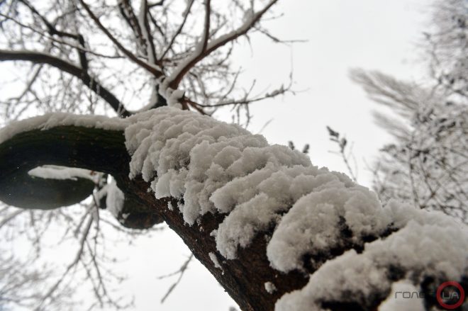 С 17 января в Украине начнутся снегопады – синоптик