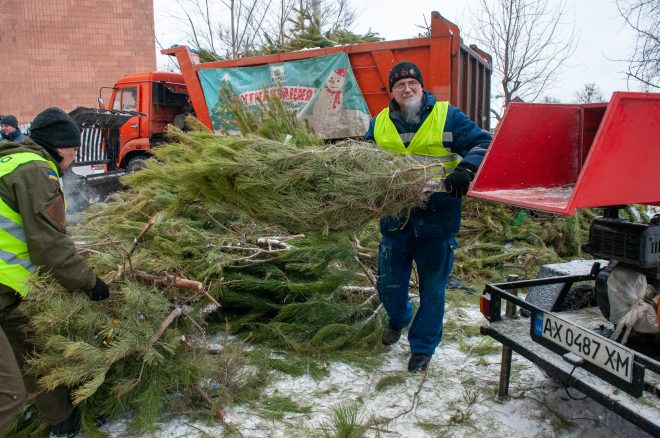 В Харькове завершают утилизацию новогодних елок