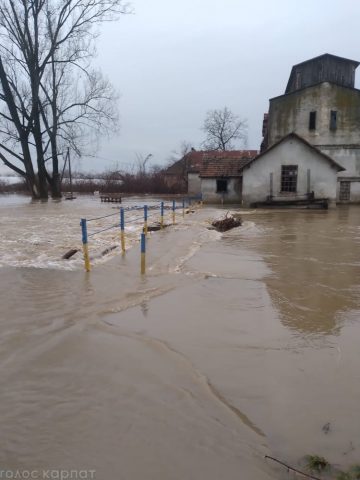 Из-за обильных дождей на Закарпатье затопило часть местности