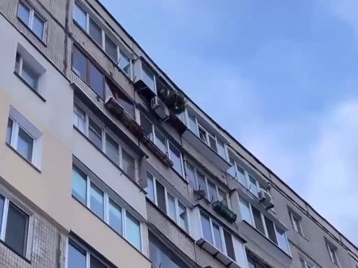 Лень одолела: Киевлянин выбросил елку с балкона последнего этажа многоэтажки (ВИДЕО)