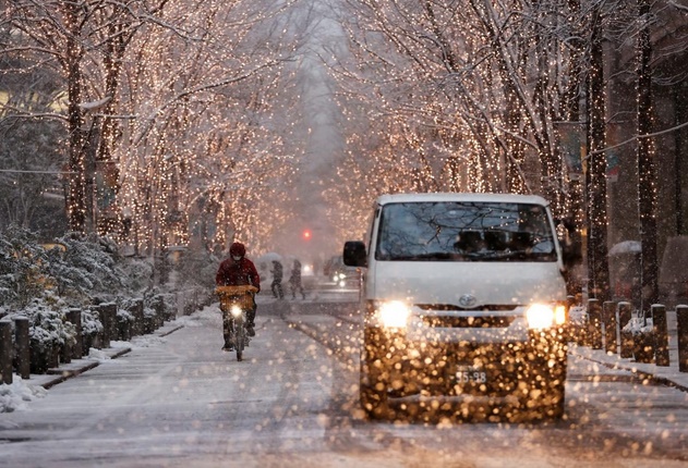 Токио засыпало снегом, десятки людей в больницах (ФОТО)