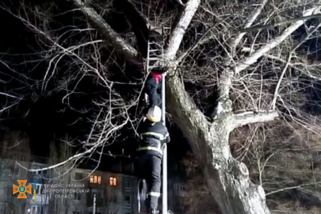 В Днепре спасатели успешно сняли парня с высокого дерева (ФОТО)