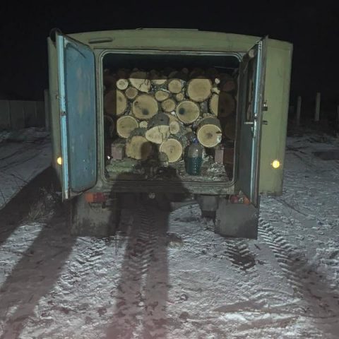 В Харьковской области в лесу задержаны похитители дубовых деревьев (ФОТО)