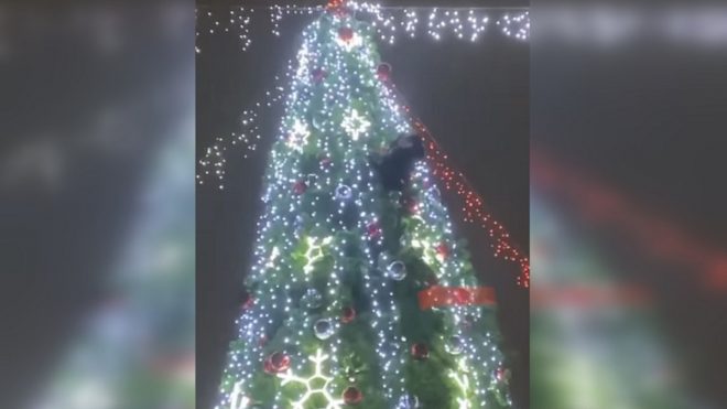 В Кривом Роге мужчина взобрался на городскую новогоднюю елку (ФОТО, ВИДЕО)