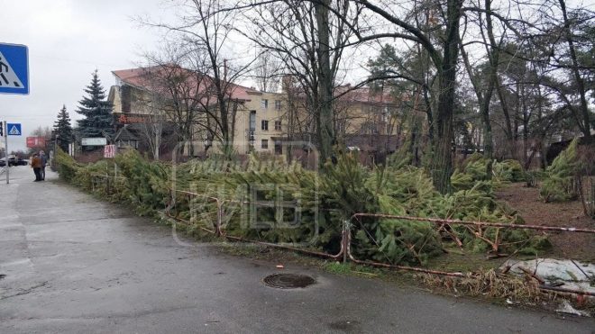 Нераспроданный товар: в Киеве увидели свалку дорогих елок (ФОТО)