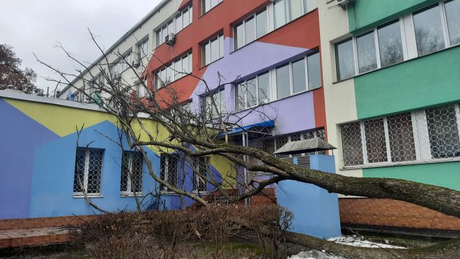 В Киеве штормовой ветер повалил дерево на детскую поликлинику (ФОТО)