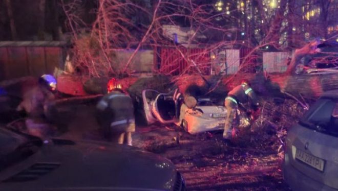 В Киеве из-за сильно ветра дерево рухнуло на автомобиль, водитель погиб (ФОТО, ВИДЕО)