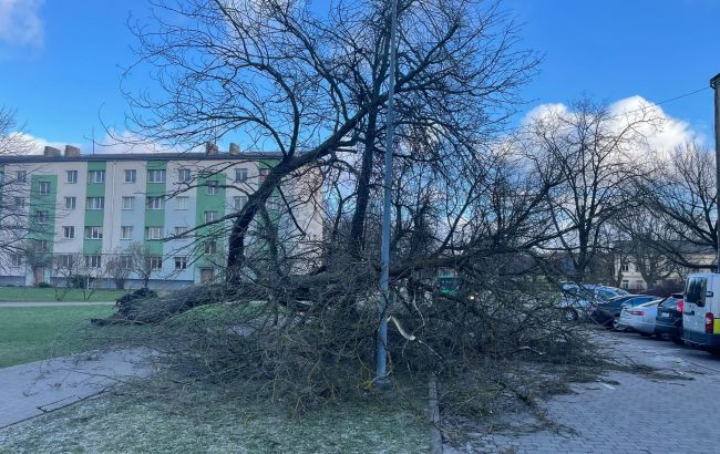 В Латвии из-за сильного урагана не могут приземлиться самолеты (ФОТО, ВИДЕО)