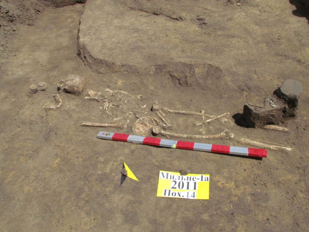 В Тернополе археологи обнаружили череп, котором 3000 лет (ФОТО, ВИДЕО)