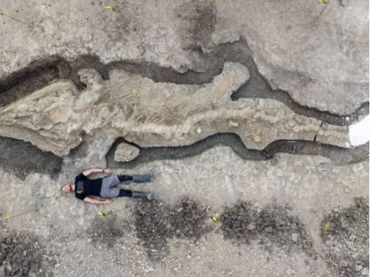 Британцы обнаружили скелет ихтиозавра, которому 180 миллионов лет (ФОТО)