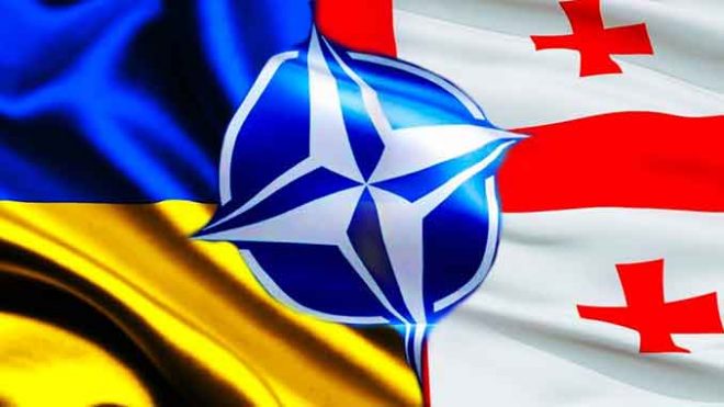 Украина и Грузия примут участие в заседании НАТО