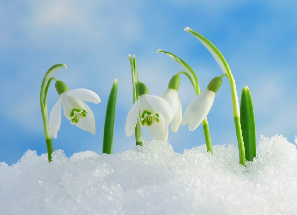 Какая весна будет в Украине: прогноз метеоролога