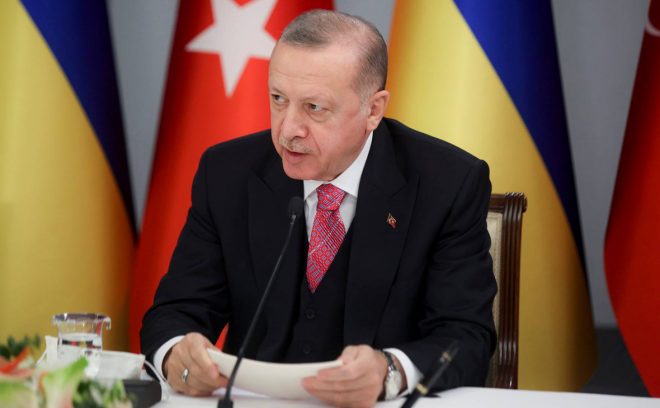 Эксперт дал оценку визиту Эрдогана в Киев