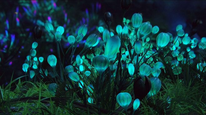 Американские ученые создали прототип светящихся растений (ФОТО)