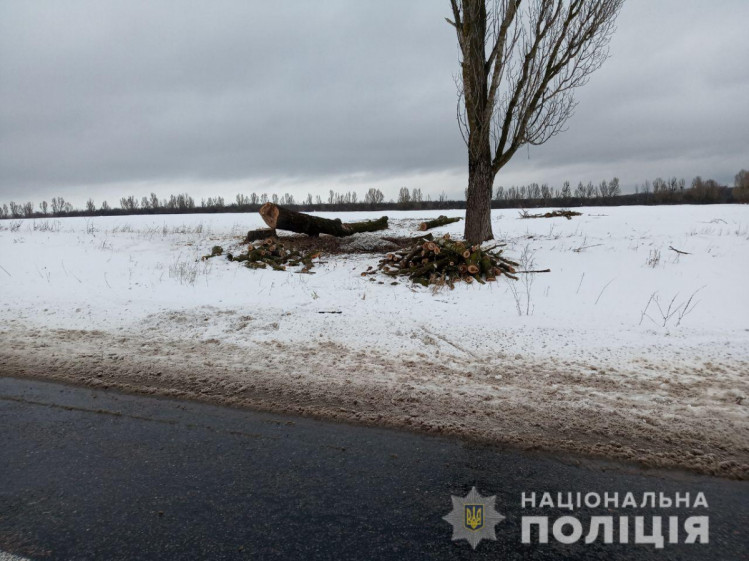 На Харьковщине черный лесоруб нанес ущерб на треть миллиона гривен (ФОТО)
