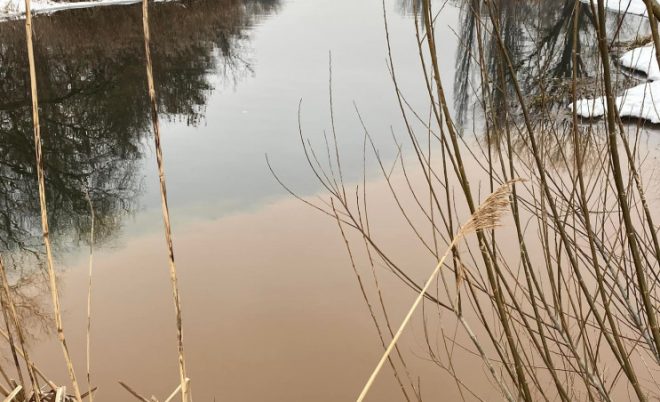 На Харьковщине в реку сливают нечистоты: активисты бьют тревогу (ВИДЕО, ФОТО)