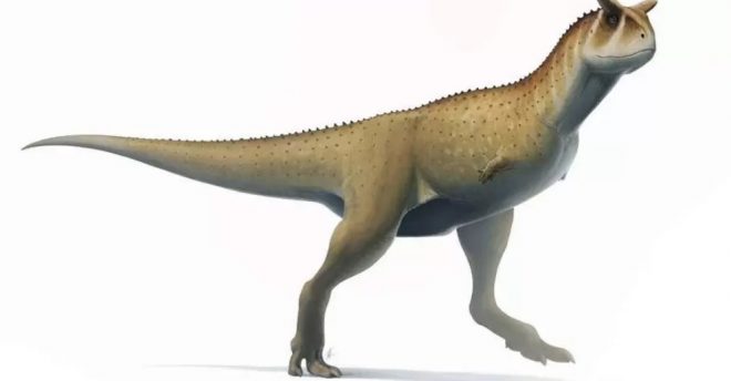 В Аргентине обнаружили останки «безрукого» динозавра (ФОТО)