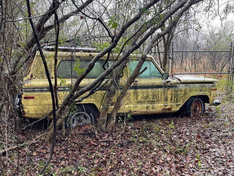 В США найден заброшенный автосалон: сквозь авто проросли деревья (ФОТО)