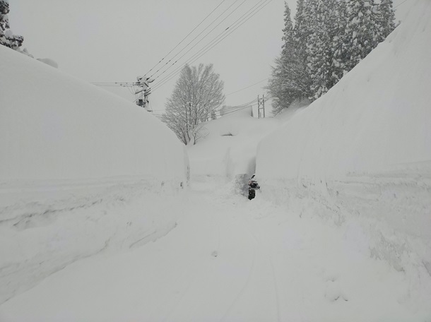 «Выше крыши»: на Японию обрушился небывалый снегопад (ФОТО, ВИДЕО)
