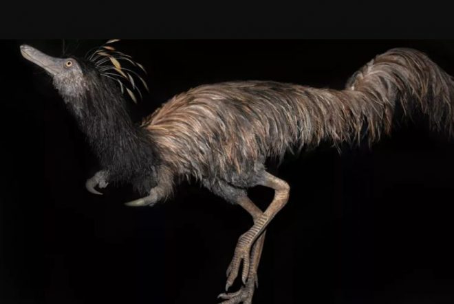 В костях динозавров найдена древняя инфекция