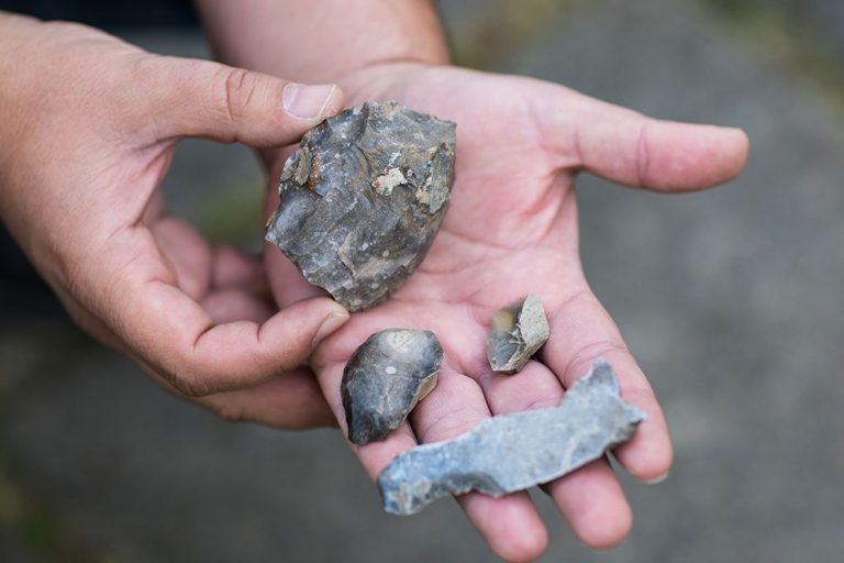 Археологи под Киевом обнаружили курганы бронзового века, которым около 4000 лет (ФОТО)