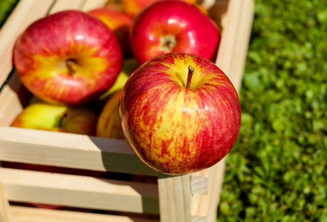 Диетолог рассказала, сколько яблок в день можно съесть без вреда для здоровья