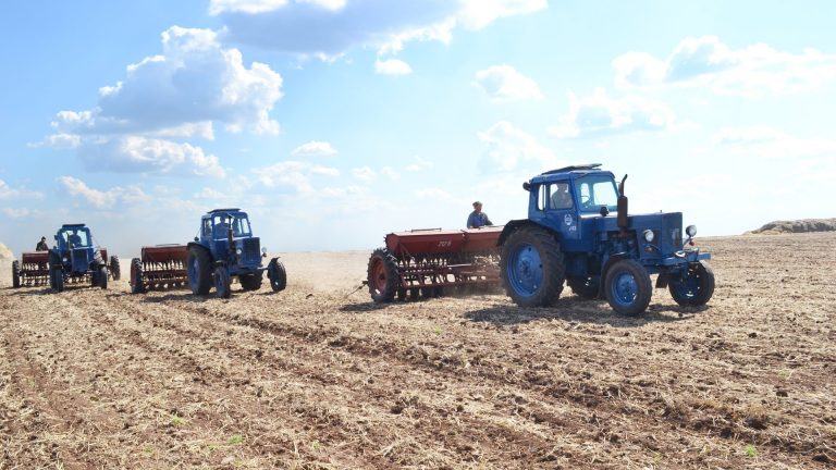 ООН предоставит помощь украинским аграриям на 200 млн долларов: кто сможет получить деньги