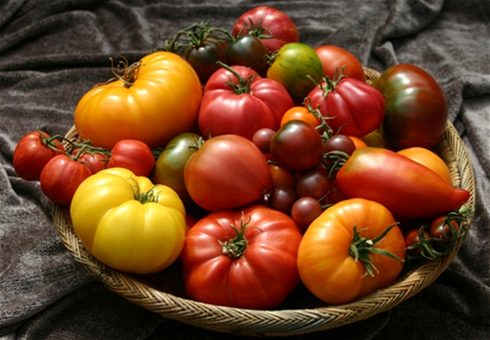 Нутрициолог объяснил, в каком случае томаты опасны для здоровья