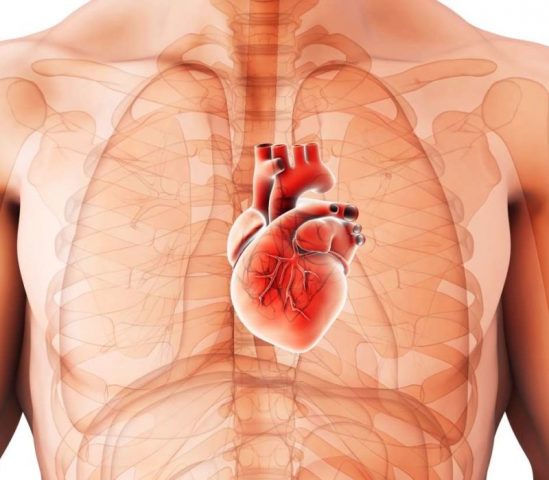 Медики рассказали, как COVID влияет на работу сердца