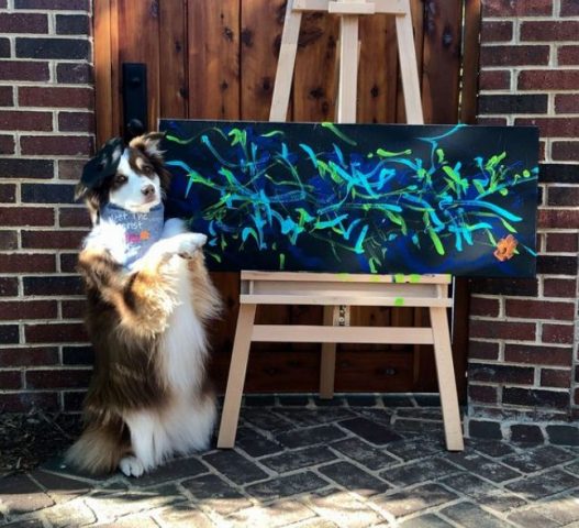 Собака-художник заработала на собственных картинах 20 тысяч долларов (ФОТО)