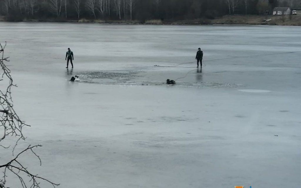 На пруду в Одесской области рыбак провалился под лед (ФОТО)