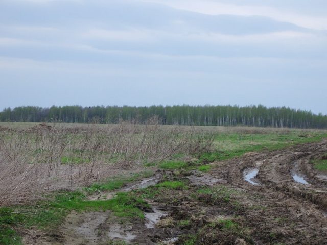 Убытки украинских аграриев в ходе войны превысили 40 млрд долларов