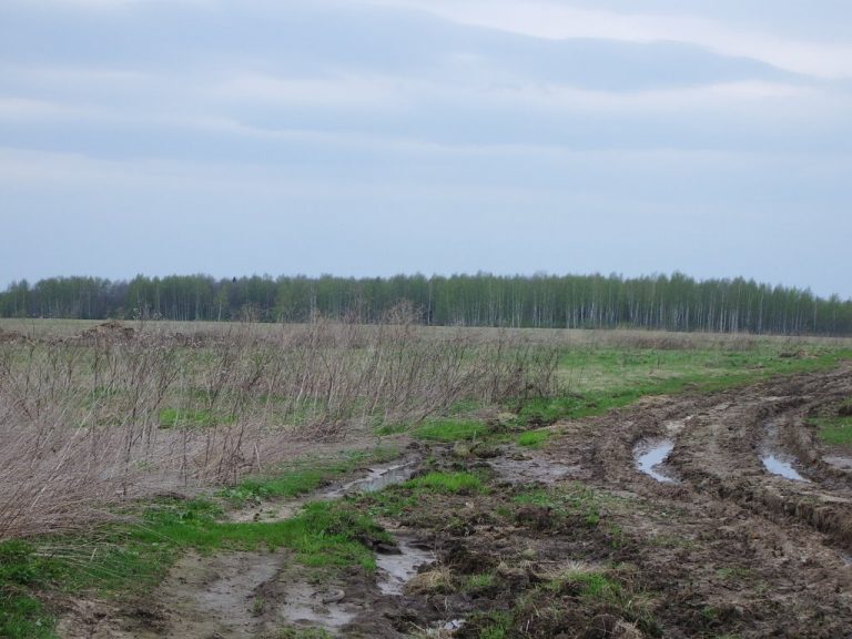 Налог на землю в Украине: за какие участки не нужно платить