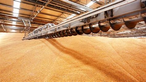 США помогут в постройке временных зернохранилищ для вывоза зерна из Украины – Байден