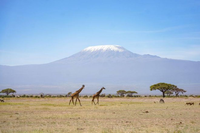 Twitter, Instagram и Telegram на высоте 3 720 м: Танзания провела интернет на Килиманджаро