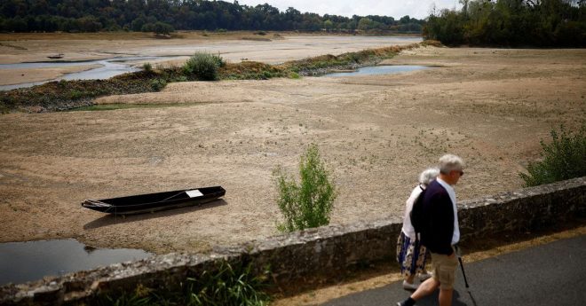 Во Франции в 78 департаментах объявили чрезвычайную ситуацию из-за засухи