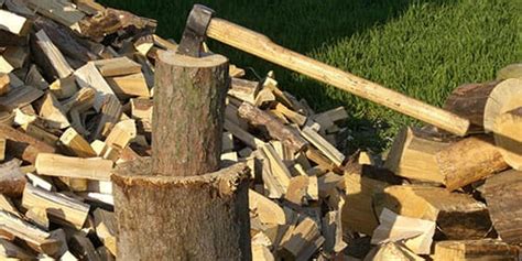 Telegraph: в Британии прогнозируют рост спроса на дрова в преддверии &#8220;тяжелой зимы&#8221;
