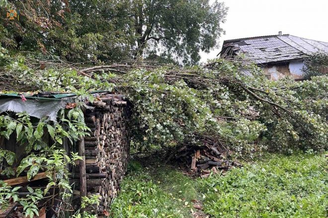 Ураганом свалило деревья в Хмельницкой области (ФОТО)