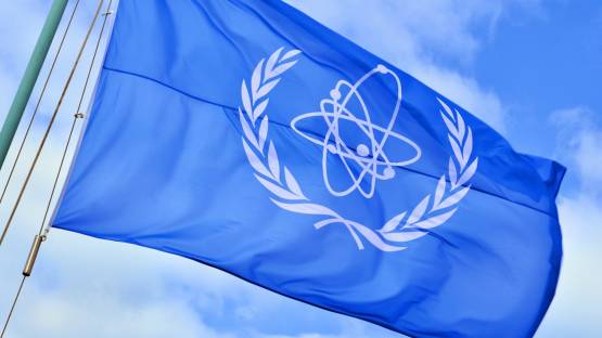 МАГАТЭ начала проверку двух ядерных объектов в Украине
