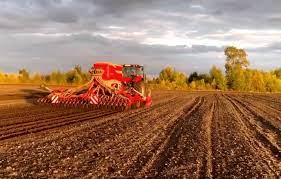 В Украине уже засеяно 3,6 млн гектаров озимых зерновых