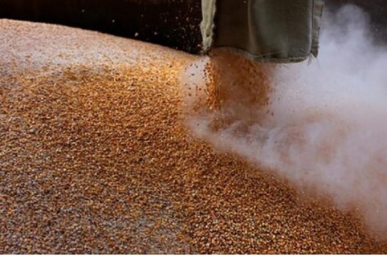 Правительство Польши убрало с сайта список импортеров зерна из Украины