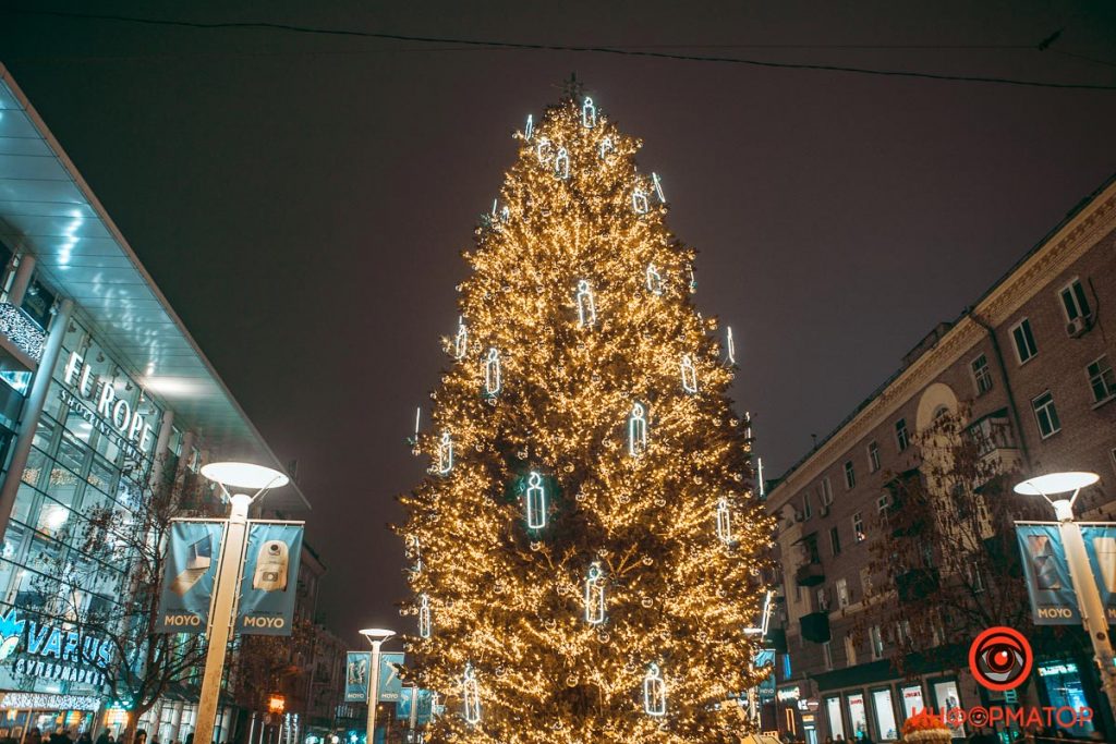 Нужно ли ставить новогоднюю елку: Жителям Днепра предложили голосовать в интернете